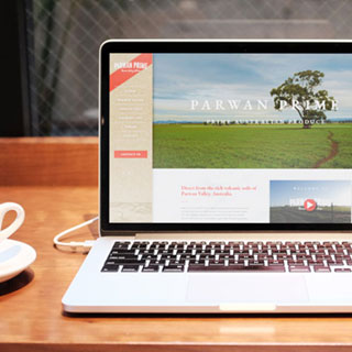 Parwan Prime Website